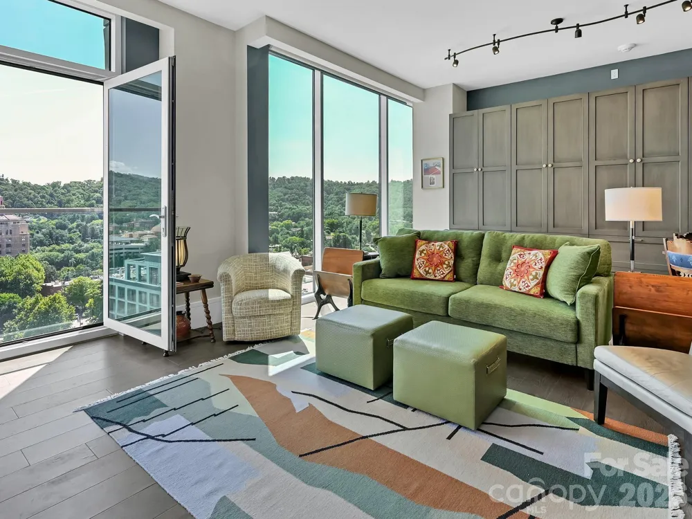7 Patton Avenue #1103 Asheville, NC 28801
