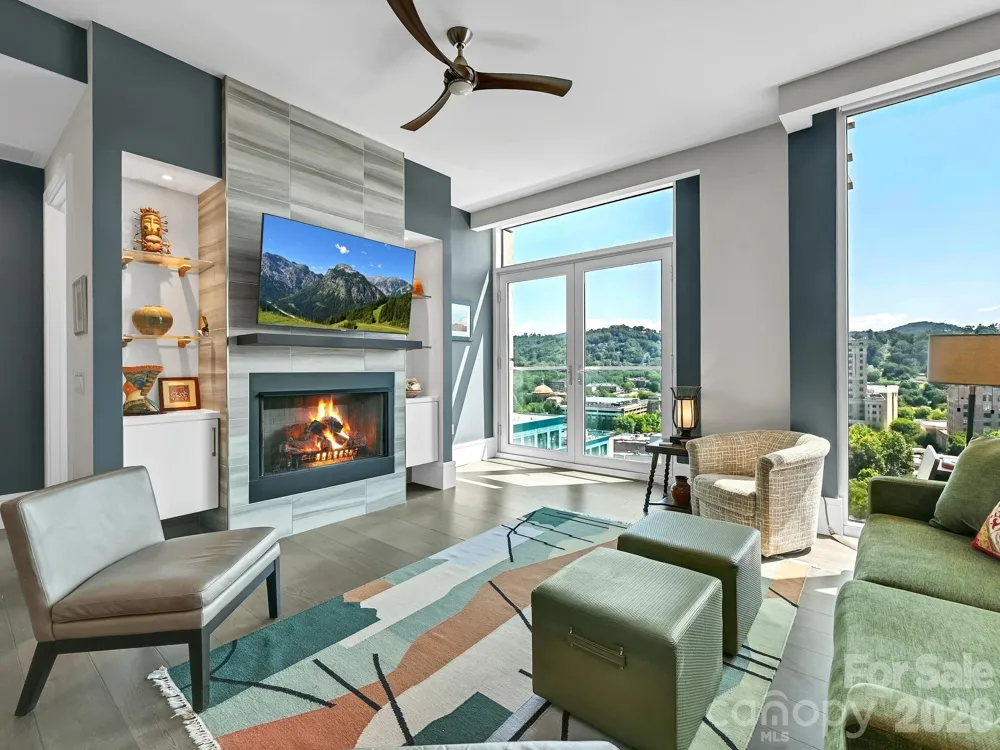 7 Patton Avenue #1103 Asheville, NC 28801