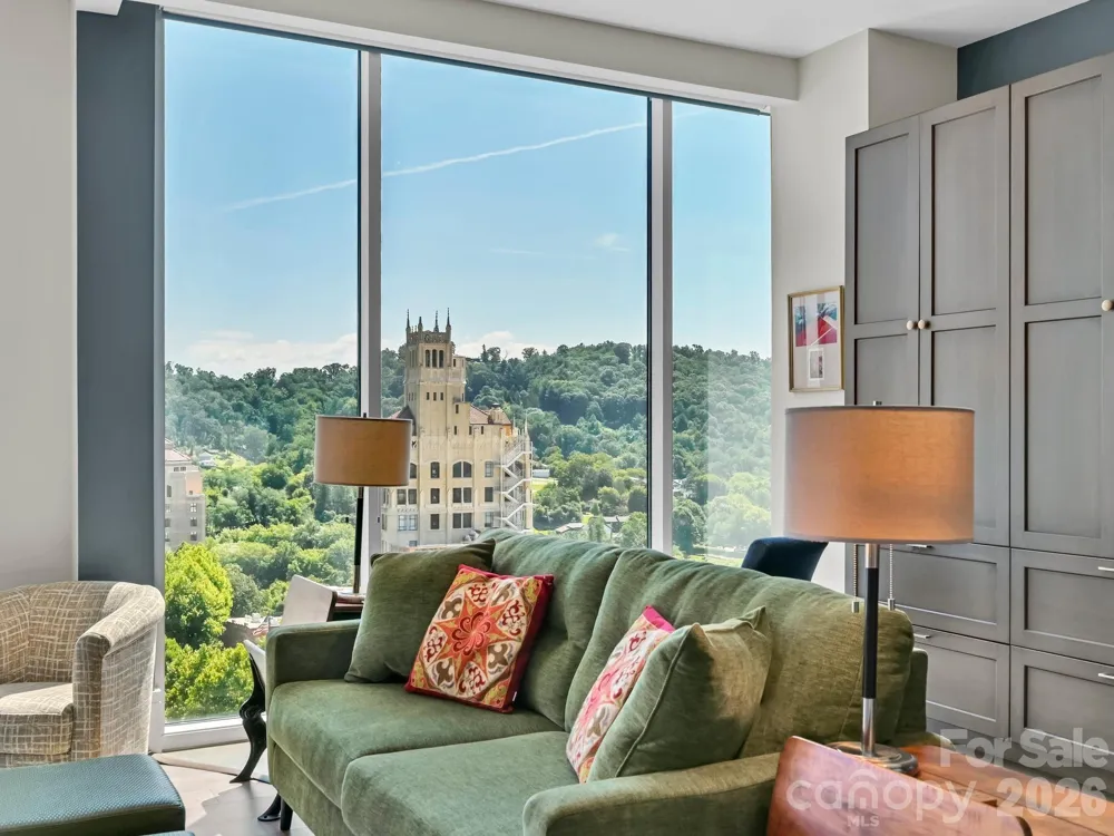 7 Patton Avenue #1103 Asheville, NC 28801