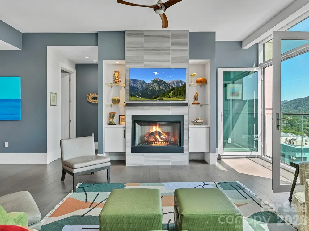7 Patton Avenue #1103 Asheville, NC 28801