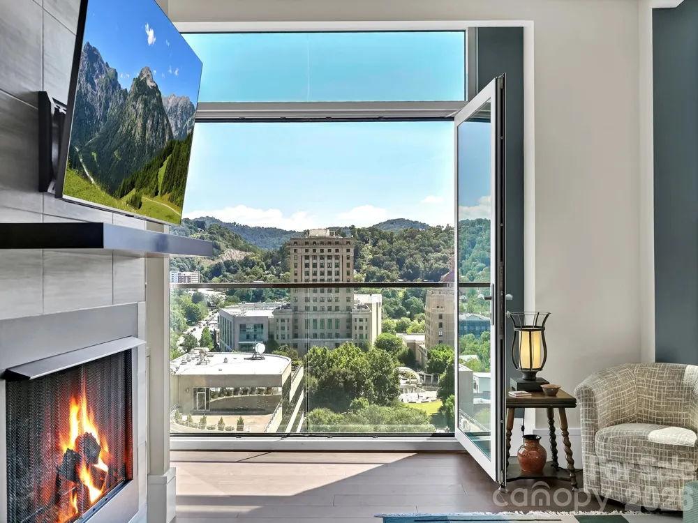 7 Patton Avenue #1103 Asheville, NC 28801