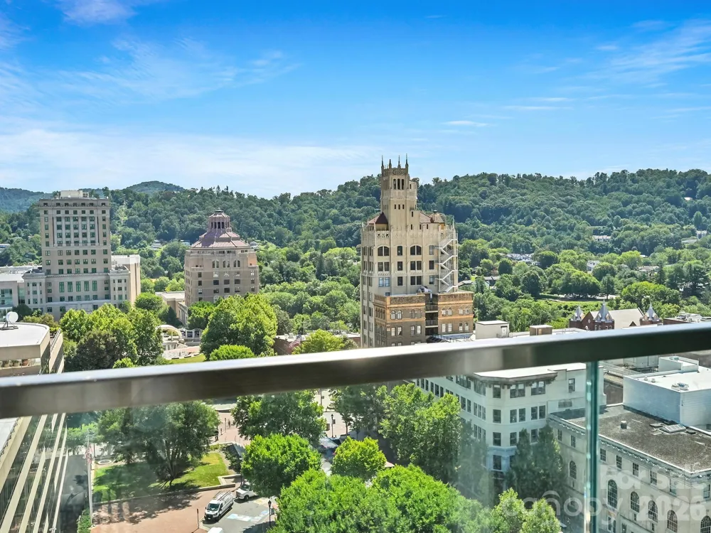 7 Patton Avenue #1103 Asheville, NC 28801