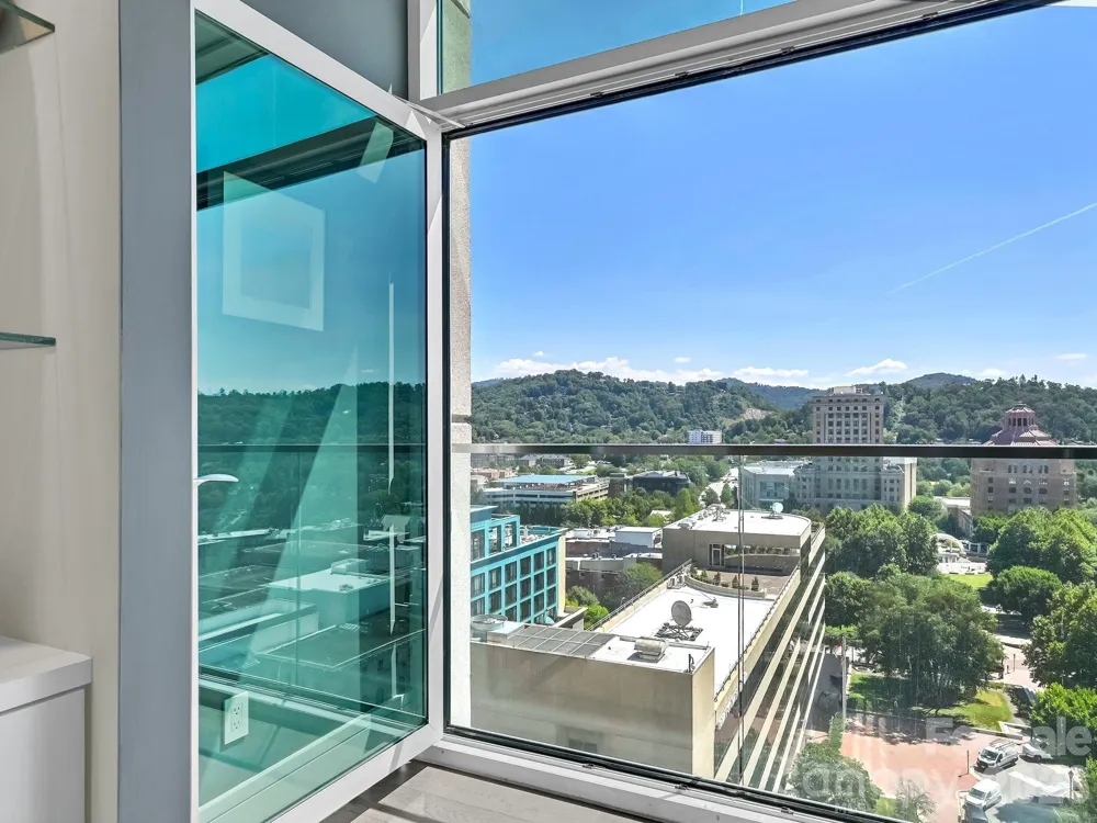 7 Patton Avenue #1103 Asheville, NC 28801