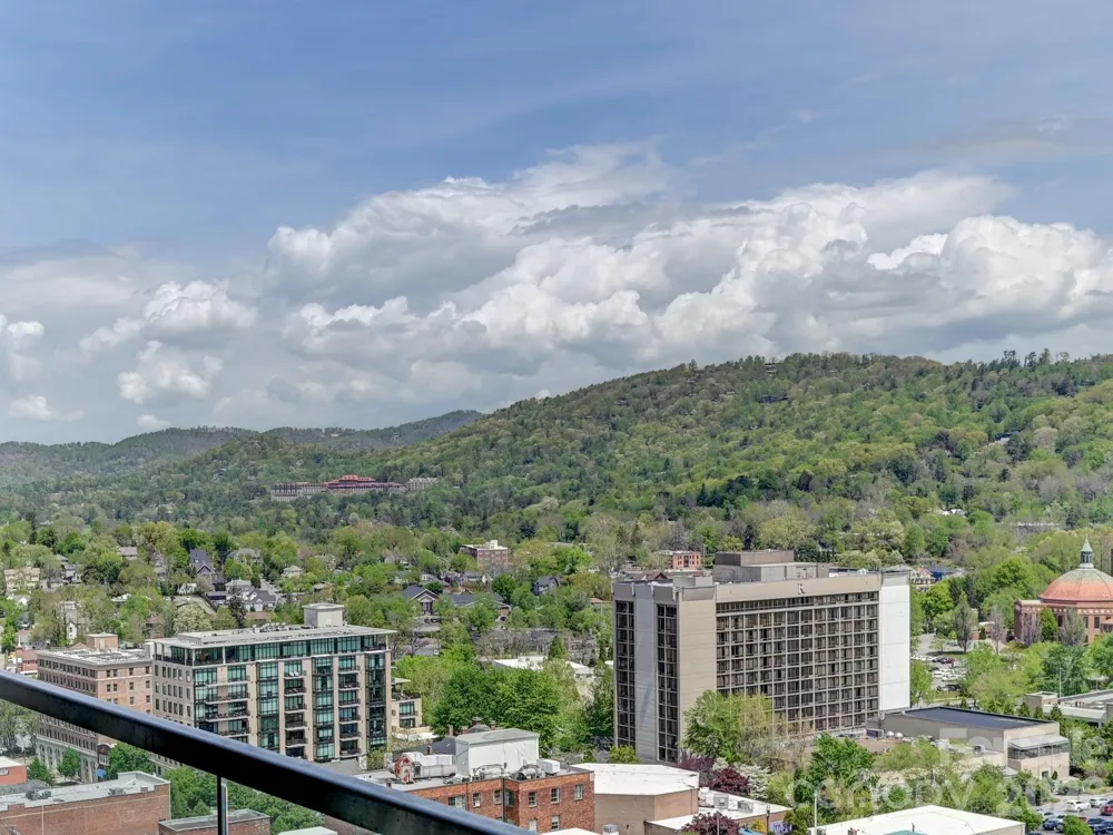 7 Patton Avenue #1103 Asheville, NC 28801