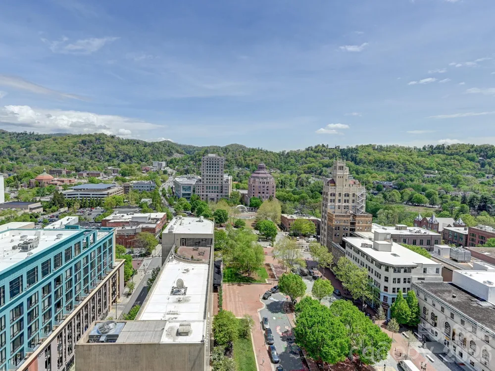 7 Patton Avenue #1103 Asheville, NC 28801