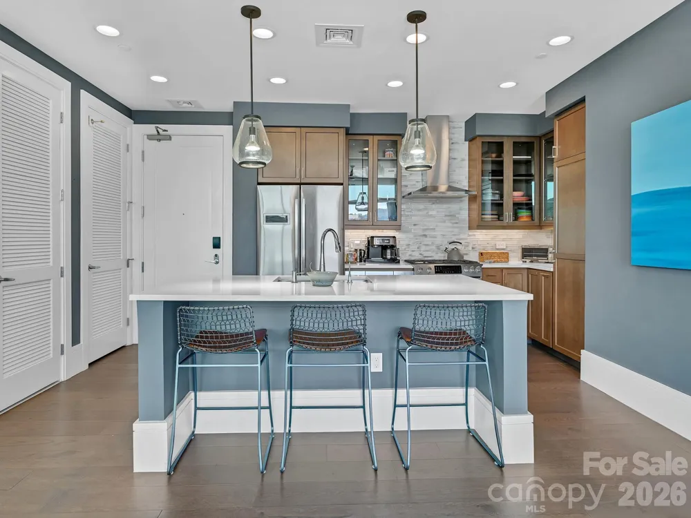 7 Patton Avenue #1103 Asheville, NC 28801