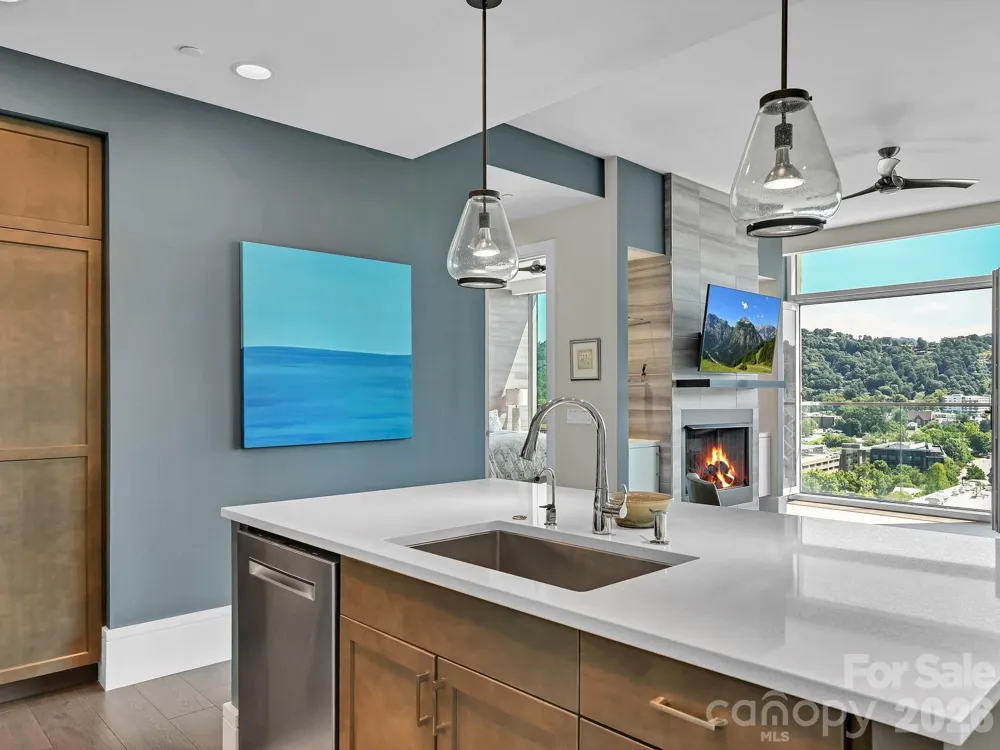 7 Patton Avenue #1103 Asheville, NC 28801