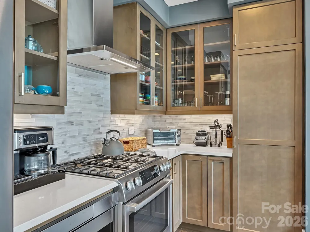 7 Patton Avenue #1103 Asheville, NC 28801