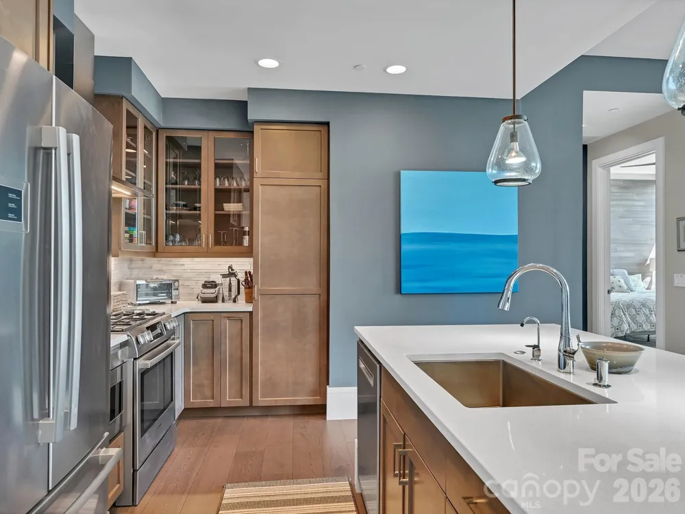 7 Patton Avenue #1103 Asheville, NC 28801