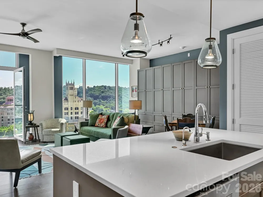 7 Patton Avenue #1103 Asheville, NC 28801