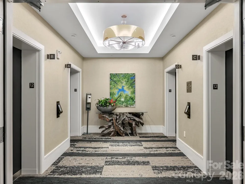 7 Patton Avenue #1103 Asheville, NC 28801