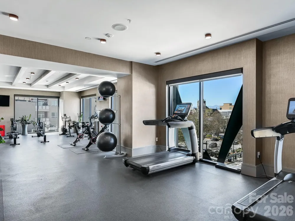 7 Patton Avenue #1103 Asheville, NC 28801