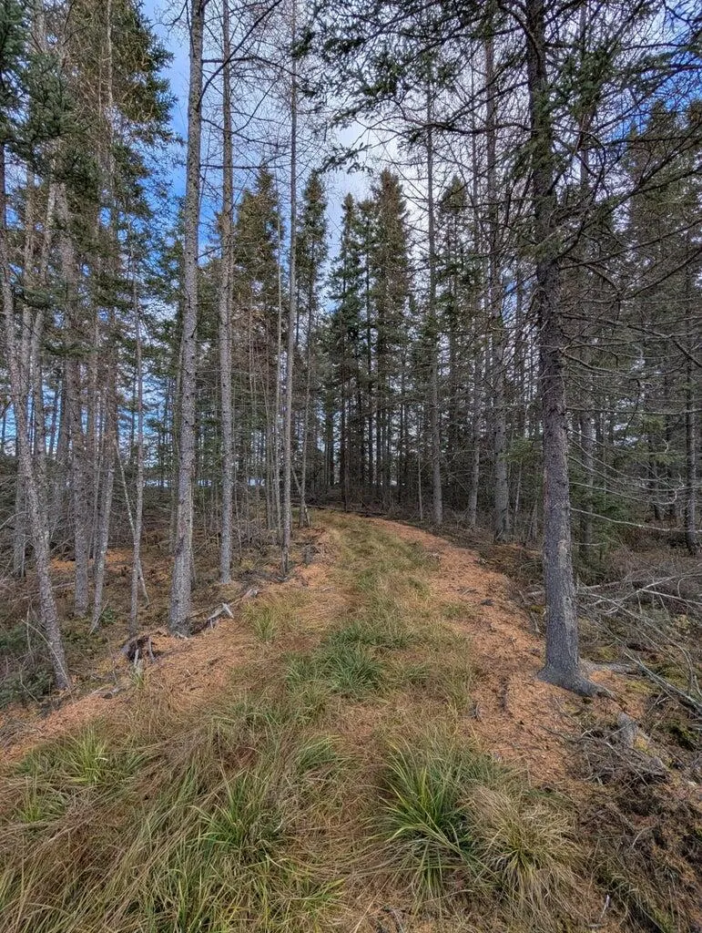 Slough Lake Road Gwinn, MI 49841