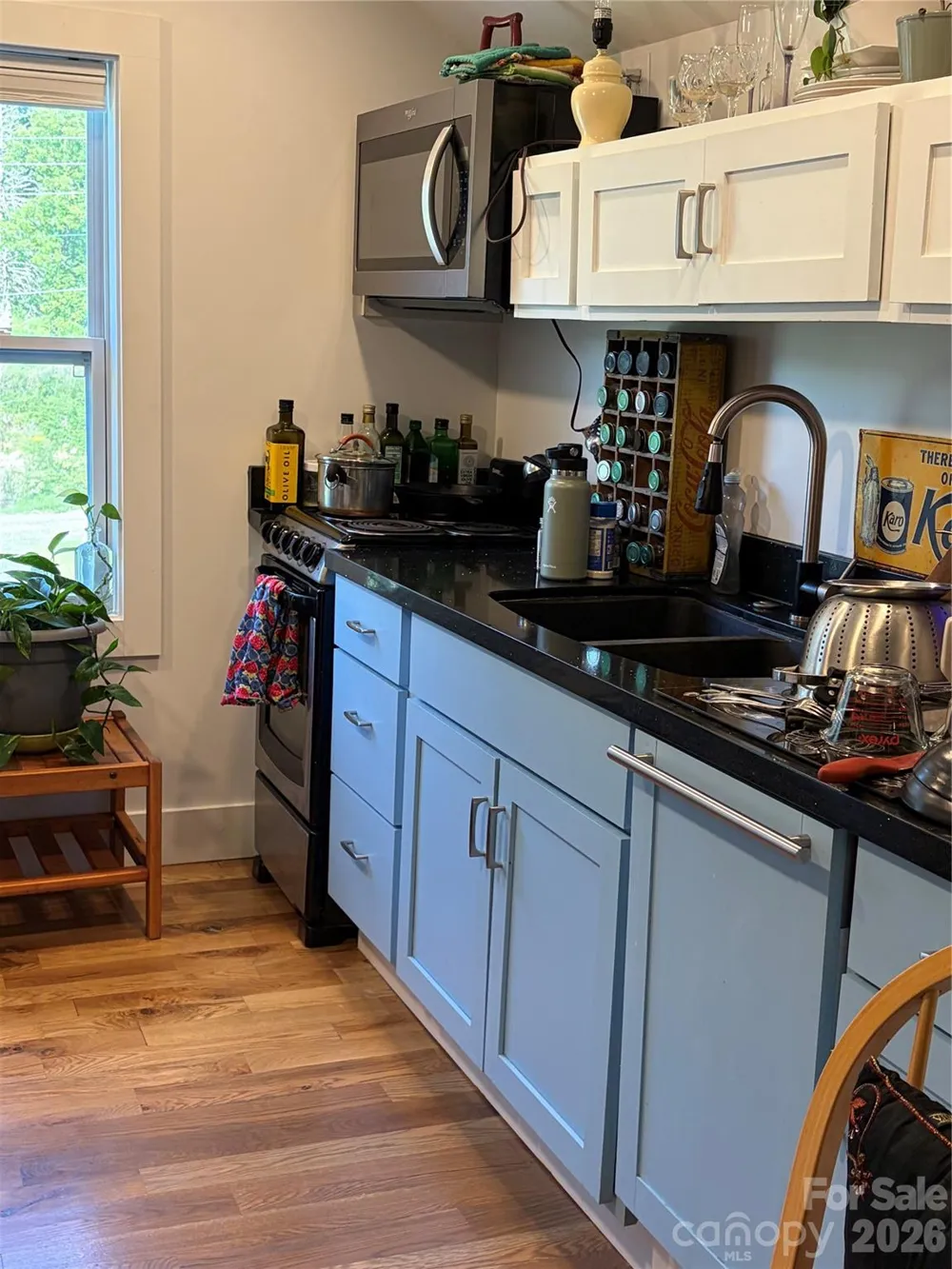 16 Riverside Drive Barnardsville, NC 28709