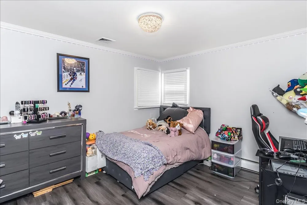 16 Netz Place Albertson, NY 11507