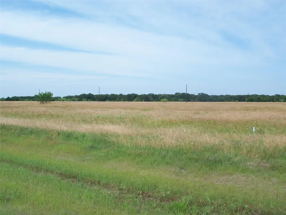 COWBOY DRIVE Mildred, TX 75109