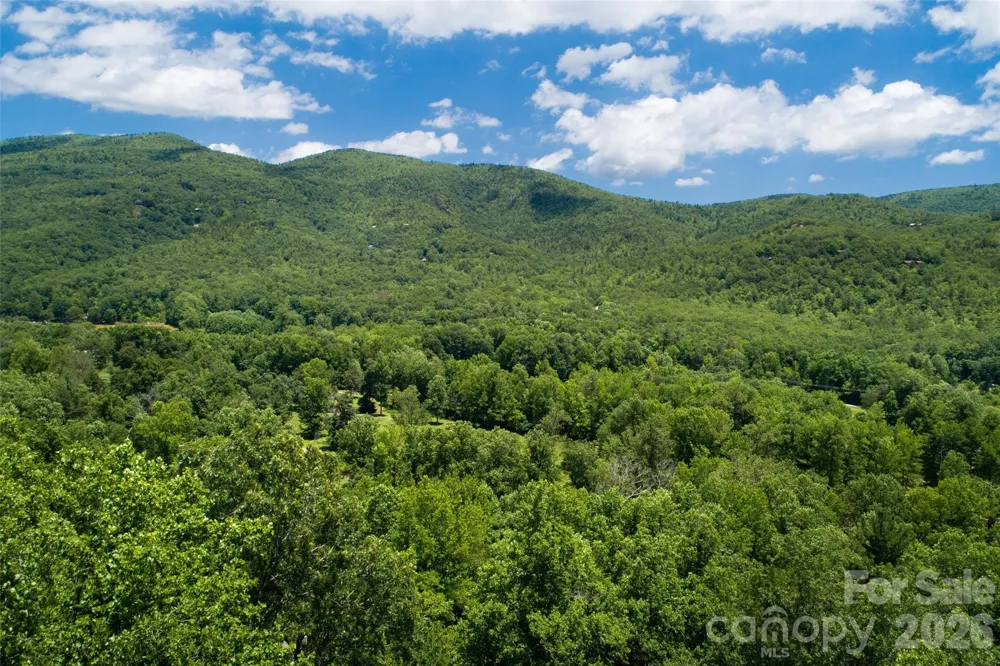 Lot #160 Hunnicut Mountain Road Marion, NC 28752