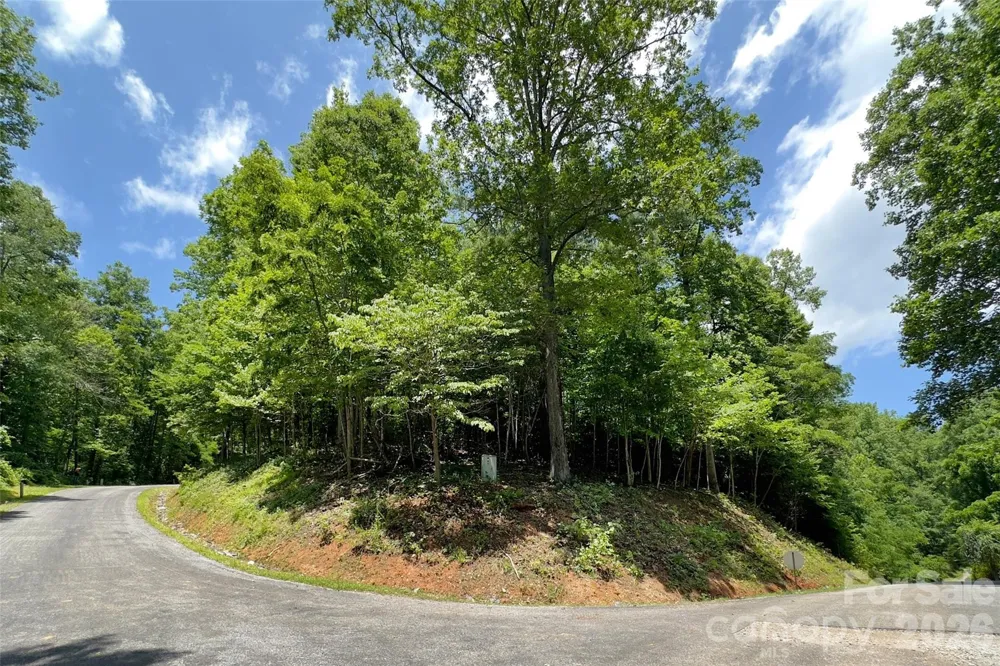 Lot #160 Hunnicut Mountain Road Marion, NC 28752
