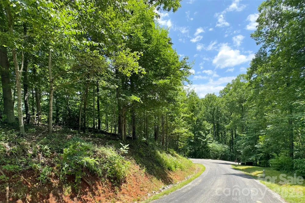 Lot #160 Hunnicut Mountain Road Marion, NC 28752