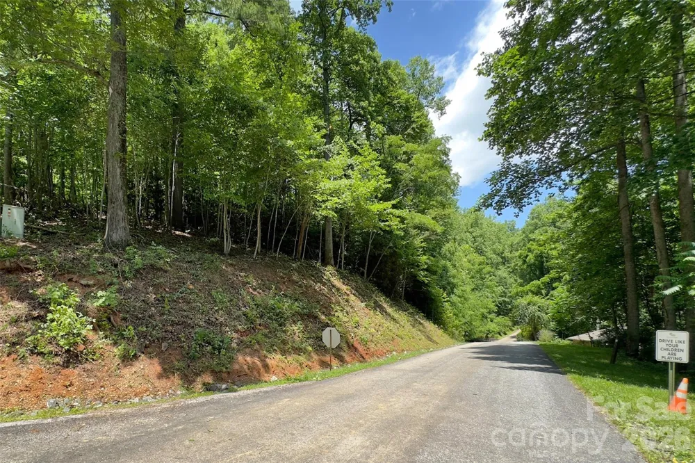 Lot #160 Hunnicut Mountain Road Marion, NC 28752
