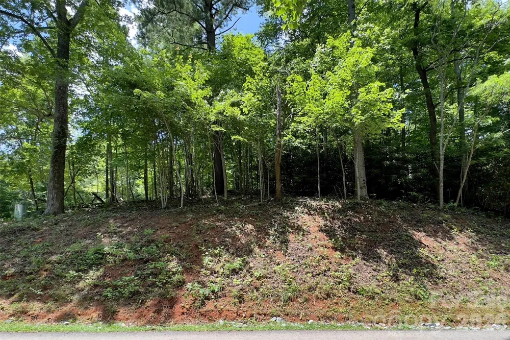 Lot #160 Hunnicut Mountain Road Marion, NC 28752