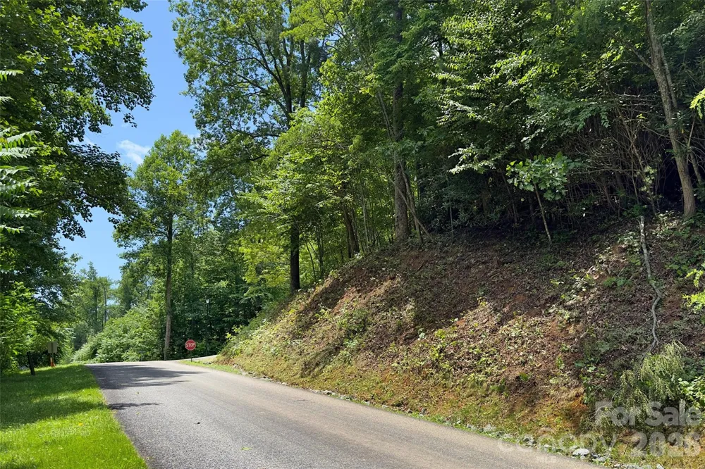 Lot #160 Hunnicut Mountain Road Marion, NC 28752