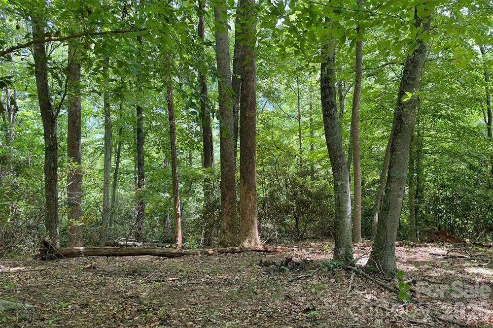 Lot #160 Hunnicut Mountain Road Marion, NC 28752