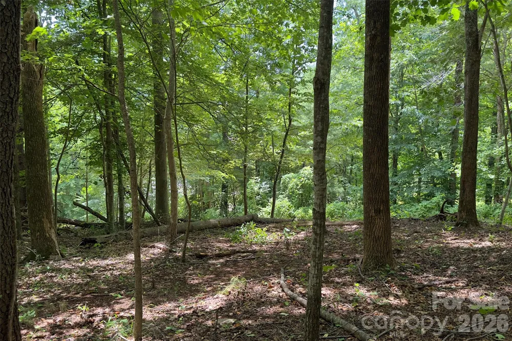 Lot #160 Hunnicut Mountain Road Marion, NC 28752