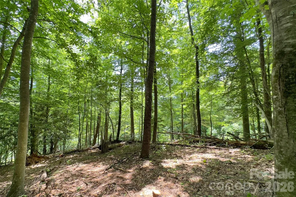 Lot #160 Hunnicut Mountain Road Marion, NC 28752