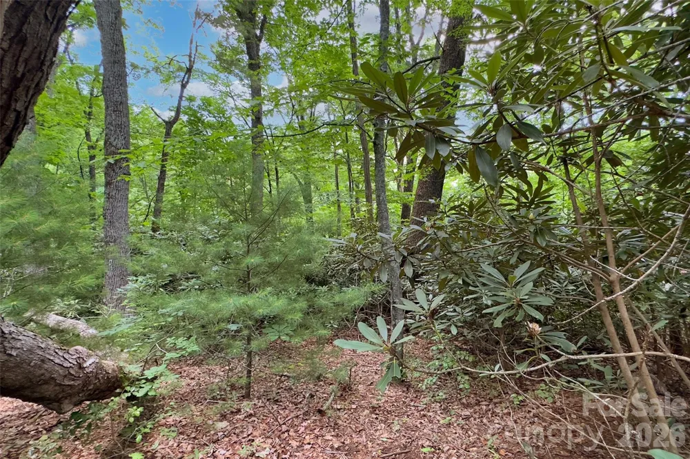 Lot #160 Hunnicut Mountain Road Marion, NC 28752