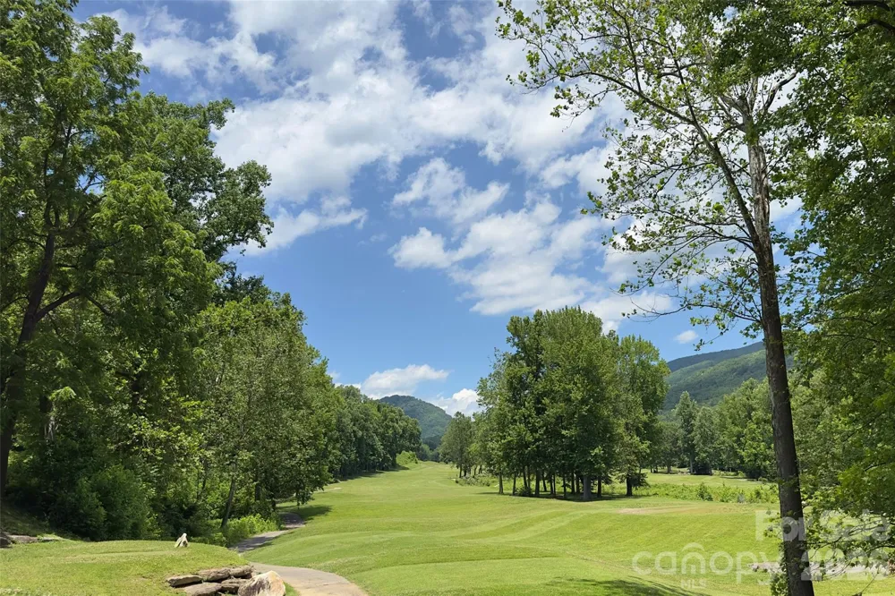 Lot #160 Hunnicut Mountain Road Marion, NC 28752