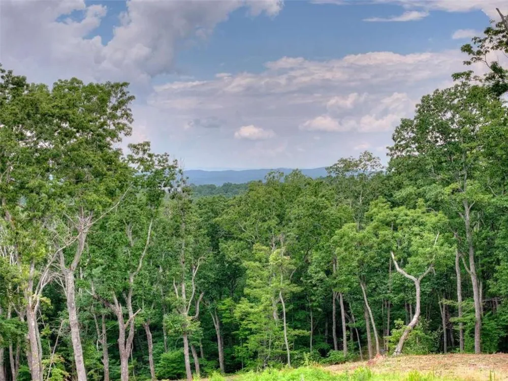 624 High Summit Drive Talking Rock, GA 30175