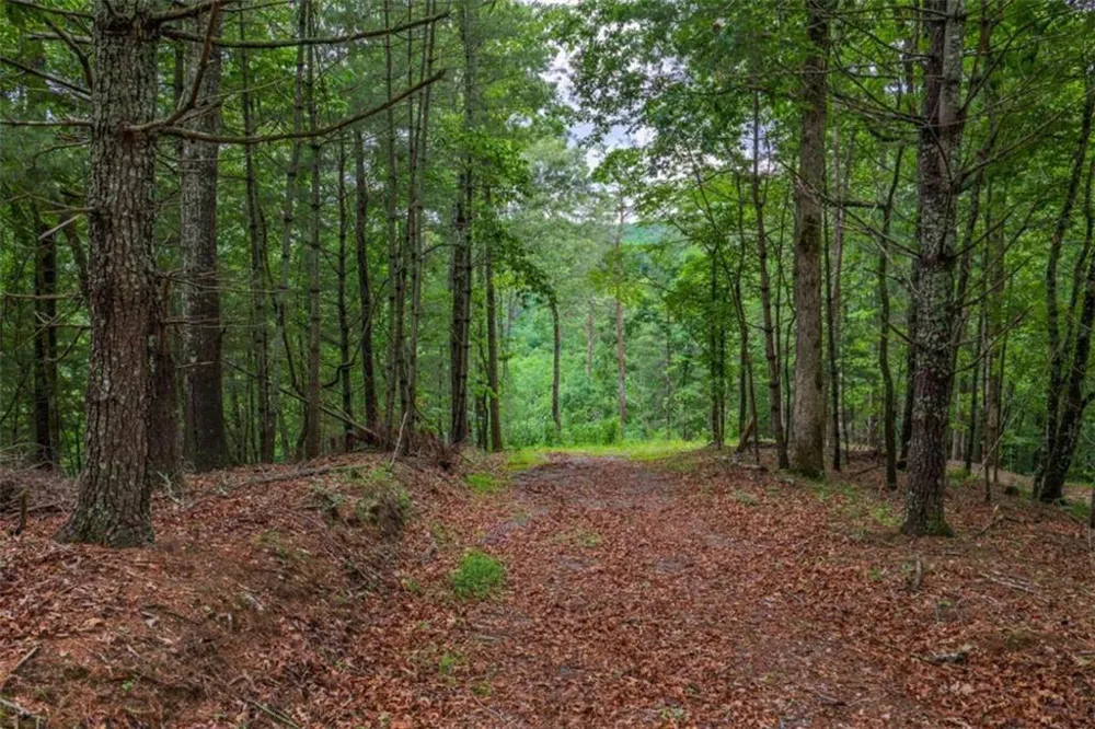 9 Deer Haven Drive Morganton, GA 30560