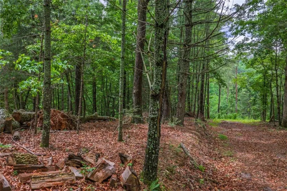 9 Deer Haven Drive Morganton, GA 30560