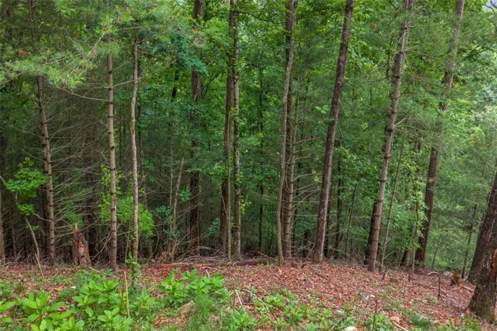 9 Deer Haven Drive Morganton, GA 30560
