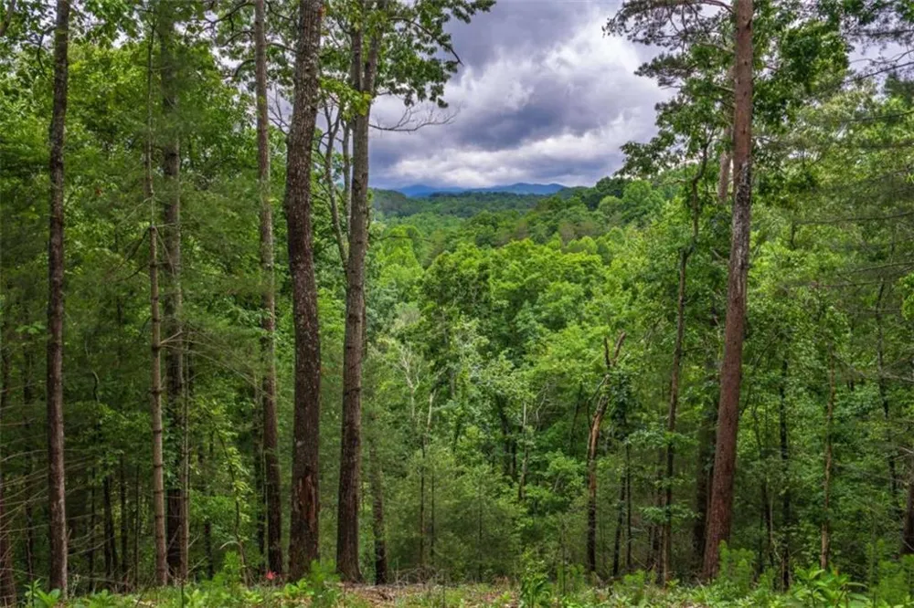 9 Deer Haven Drive Morganton, GA 30560