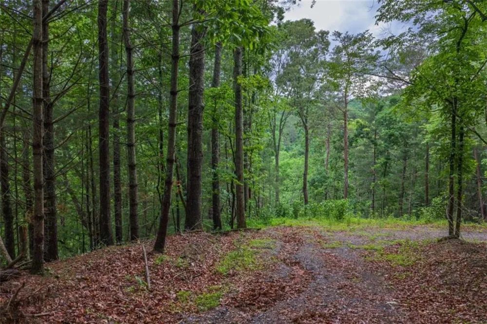 9 Deer Haven Drive Morganton, GA 30560