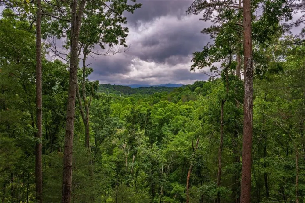 9 Deer Haven Drive Morganton, GA 30560