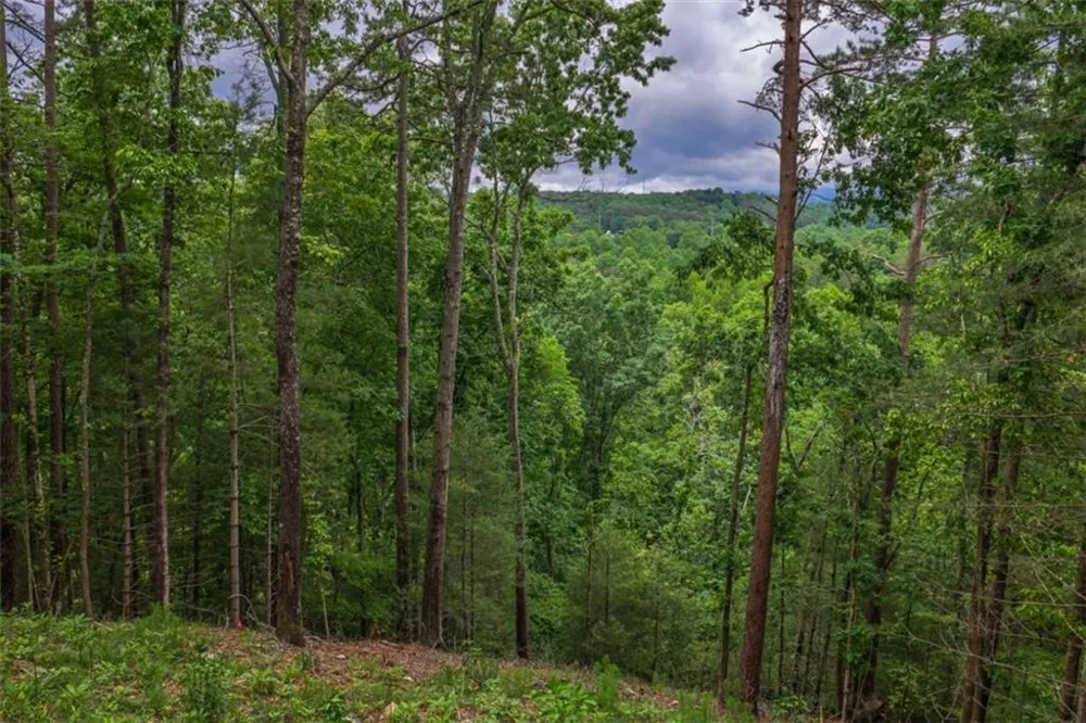 9 Deer Haven Drive Morganton, GA 30560