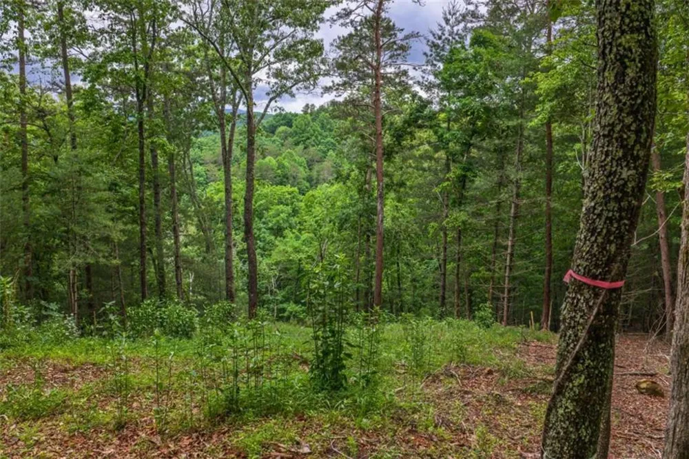 9 Deer Haven Drive Morganton, GA 30560