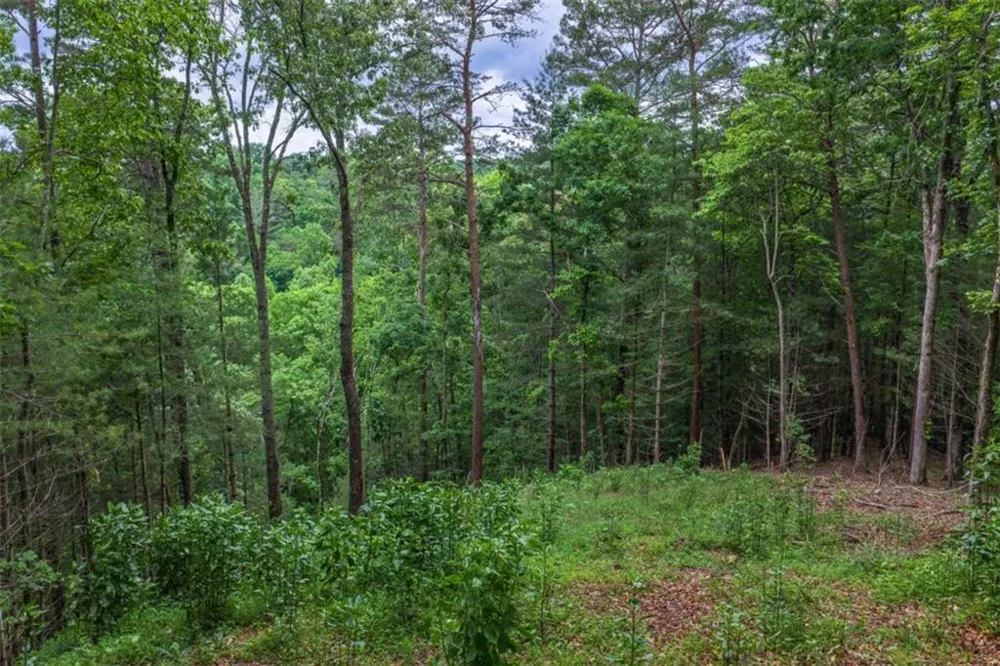9 Deer Haven Drive Morganton, GA 30560