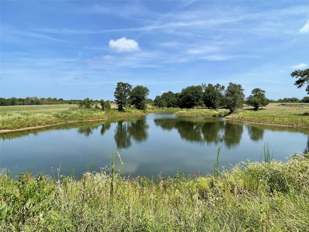 14324 FM 1394 Wortham, TX 76693