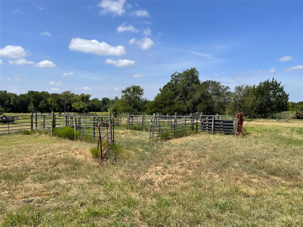 14324 FM 1394 Wortham, TX 76693