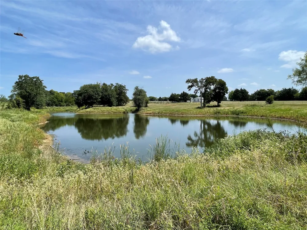 14324 FM 1394 Wortham, TX 76693