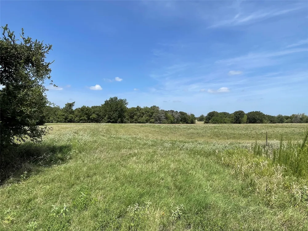 14324 FM 1394 Wortham, TX 76693