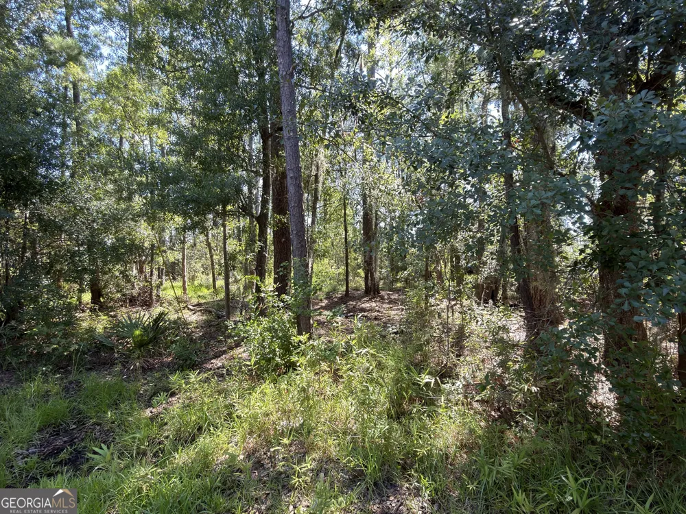 0 Mallard Pond RD Midway, GA 31320