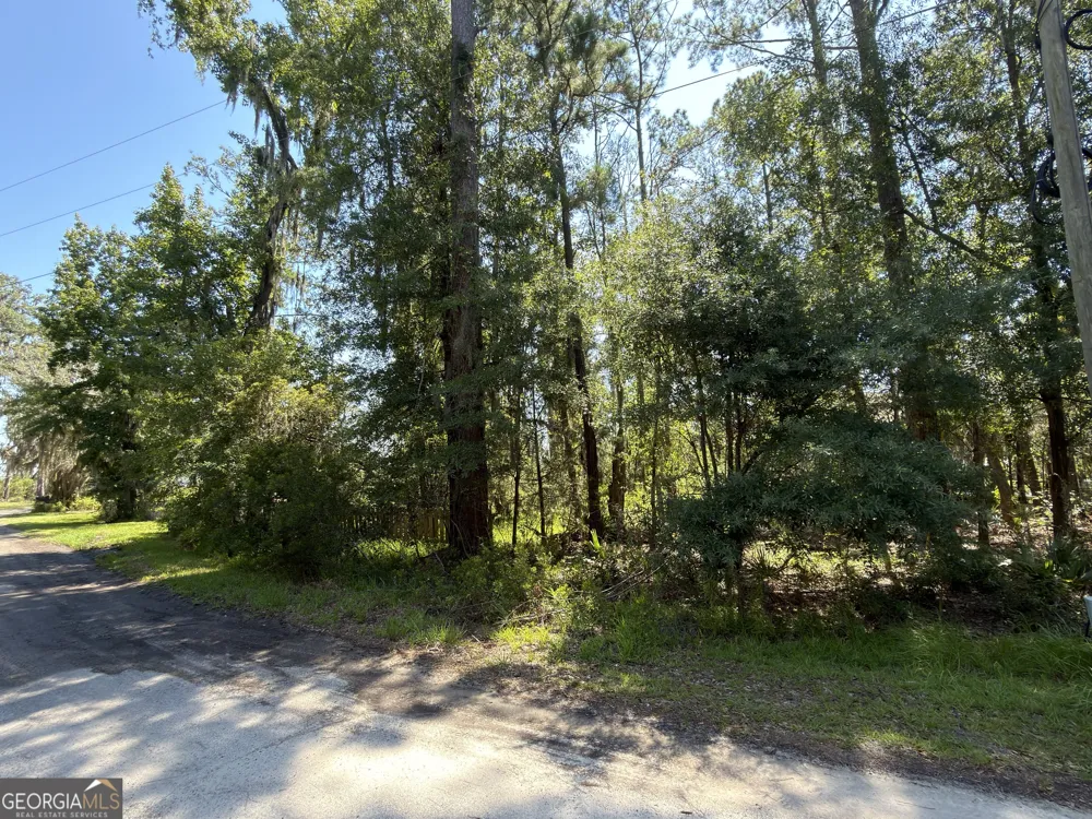0 Mallard Pond RD Midway, GA 31320