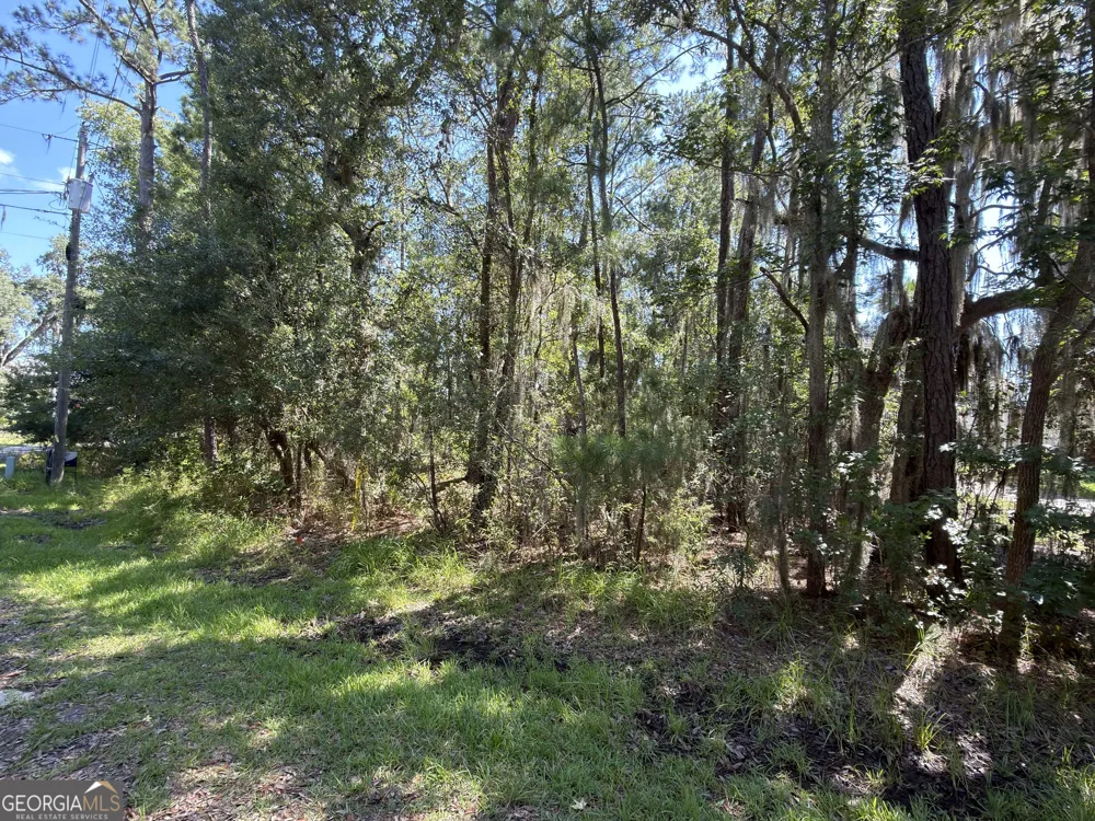 0 Mallard Pond RD Midway, GA 31320
