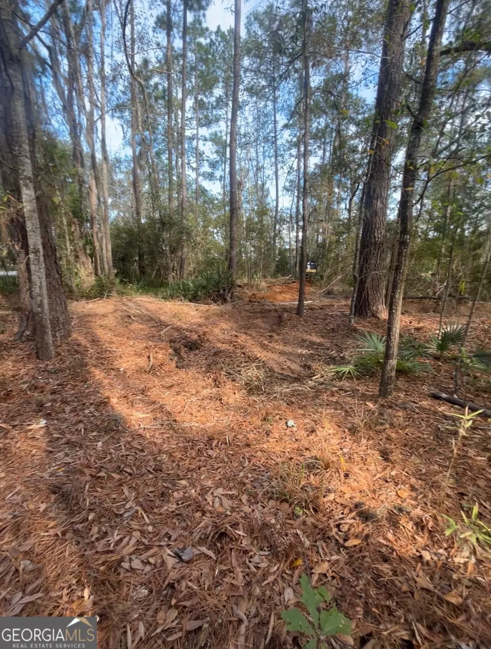 0 Mallard Pond RD Midway, GA 31320