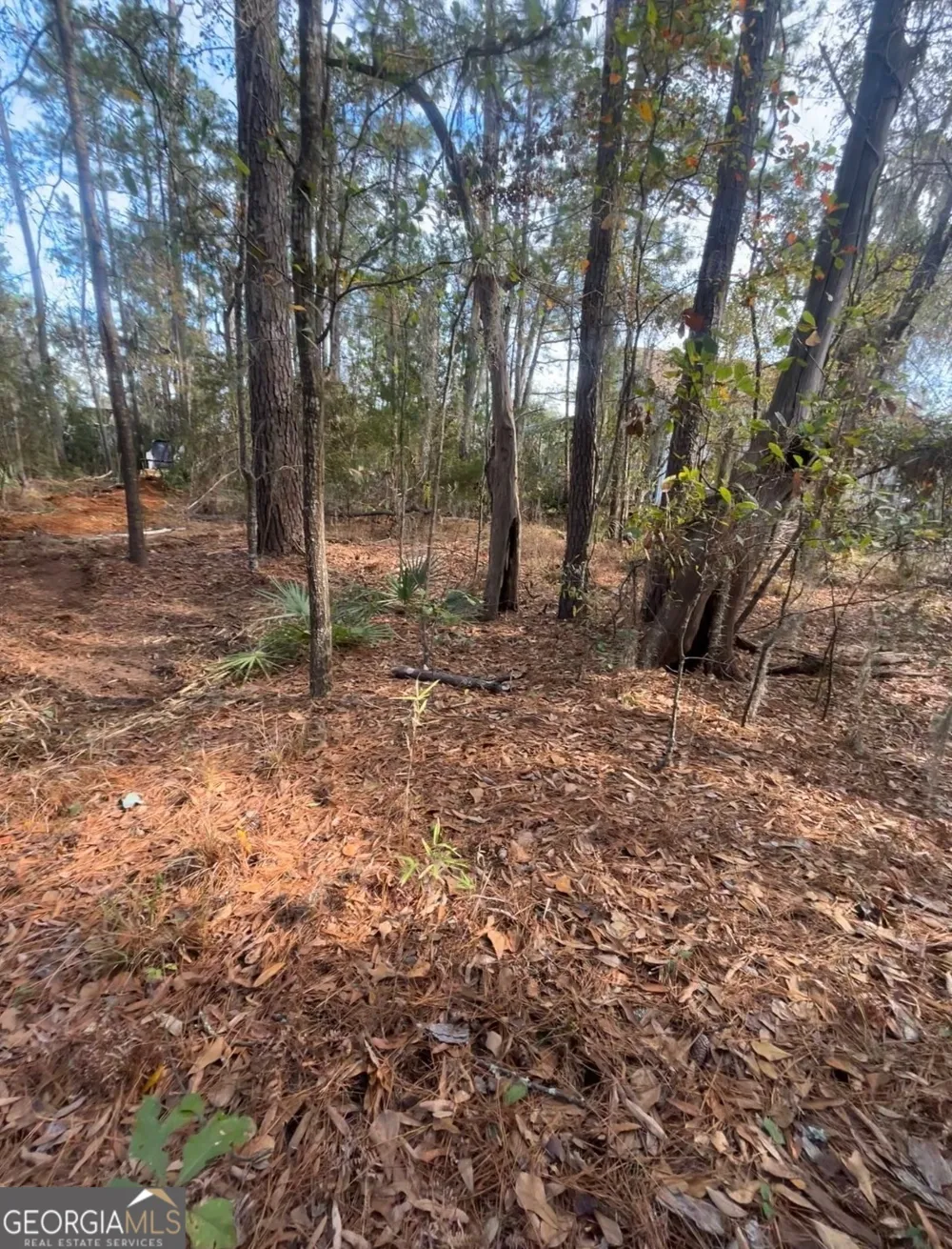 0 Mallard Pond RD Midway, GA 31320